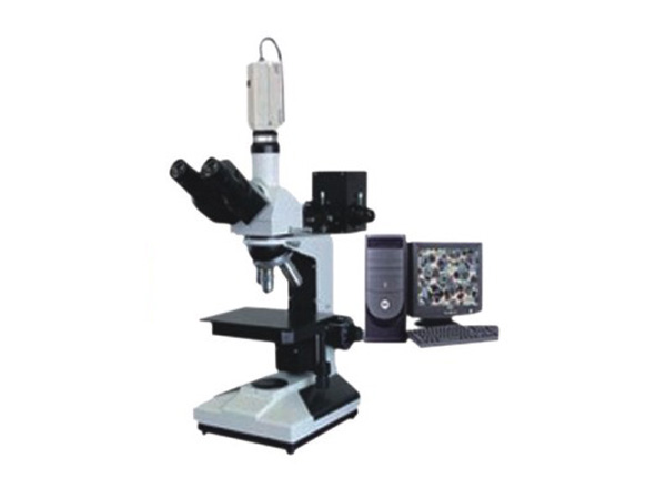 llomicroscope